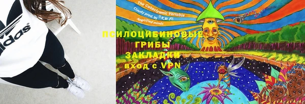 мдпв Кирсанов