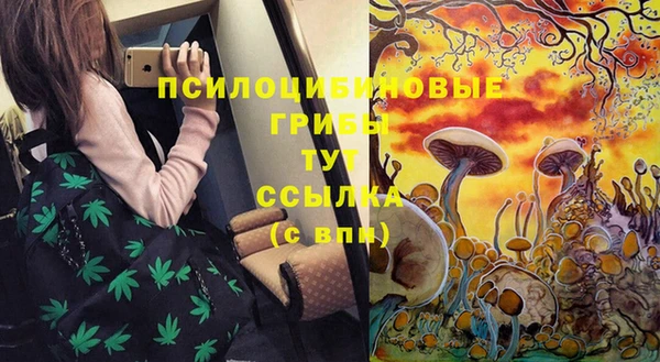стафф Переславль-Залесский